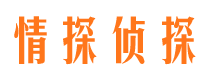 丰城市婚姻调查